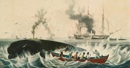The First British Moby-Dick Left Out Ishmael's Survival, So Reviewers Thought Its Narrator Had Drowned