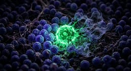 La rougeole supprime votre immunité contre toutes les maladies que vous avez déjà combattues