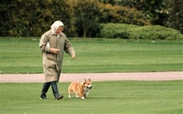 La reina Isabel II dejó de criar corgis galeses para que ninguno le sobreviviera. Su último corgi murió en abril de 2018.