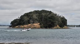 カード・アゲインスト・ヒューマニティは、寄付金で小さなプライベートアイランドを買えると冗談を言っていました。そこで2014年に実際に購入し、「ハワイ2」と改名しました。