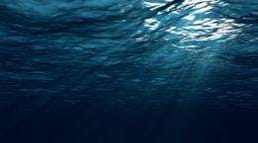 海底有一些微生物，它们每一万年才繁殖一次，已经存活了数百万年。这些可能是地球上最古老的生物。