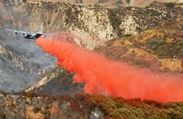 The red stuff dropped from airplanes to put out forest fires also acts as a fertilizer.