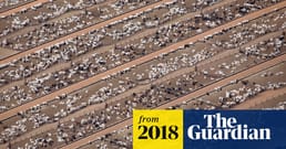 Las plantas constituyen el 82 % de la biomasa total de la Tierra. De todos los mamíferos, el 96 % son ganado y humanos; solo el 4 % son mamíferos silvestres. De todas las aves, el 70 % son pollos y aves de corral, el 30 % son aves salvajes. La biomasa total de la humanidad representa apenas el 0,01 % de toda la vida en la Tierra.