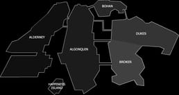 2007年、ロックスター・ゲームズはファンに電話番号を提供し、アメリカの問題点をぶち込めるようにした。最高の電話は『グランド・セフト・オートIV』のラジオ局で放送された。