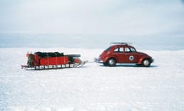 ¿Qué es el Terror Rojo?