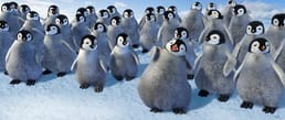 Heeft Happy Feet motion-capture-technologie gebruikt?