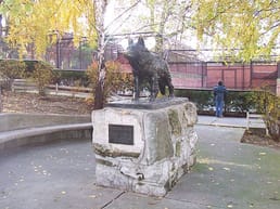 The user asks to translate the title from English to Italian, and return only the translated title, nothing else. The title is a long sentence. We need to translate it fully. The title: "Meet Gabi, a female German shepherd who worked as a guard dog in the Belgrade Zoo. In 1987 she became famous for spotting an escaped jaguar during the night. Gabi fought the jaguar throughout the zoo, preventing its escape. She made a full recovery from her injuries and returned to work."

We need to produce Italian translation. Let's translate:

"Conosci Gabi, una pastore tedesco femmina che lavorava come cane da guardia allo Zoo di Belgrado. Nel 1987 d