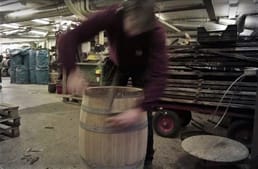 In den 1830er‑Jahren pflanzte die schwedische Marine 300 000 Eichen, die in ferner Zukunft für den Schiffsbau verwendet werden sollten. Als sie 1975 erfuhren, dass die Bäume ausgewachsen waren, hatten sie wenig Nutzen dafür, da moderne Kriegsschiffe aus Metall gebaut werden.