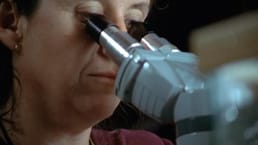 Si mueles una esponja marina a través de un colador en agua salada, se reorganizará de nuevo en una esponja. Es el único animal que conocemos que puede hacer eso.