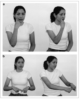 Никарагуанский жестовый язык — это жестовый язык, который спонтанно возник среди глухих детей в Никарагуа в 1980-х годах. Он представляет особый интерес для лингвистов, поскольку считается примером рождения нового языка, не связанного с другими.