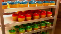 《质量效应》粉丝送400个杯形蛋糕并写上“蛋糕是香草味，糖霜也是……无论你做何选择，味道都一样”，恶搞Bioware