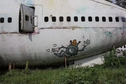 في عام 2015، هبطت طائرة اضطرارًا بعد أن تلقى الطاقم إشارة بوجود دخان في حجرة الشحن. وتبين أن السبب هو إطلاق 2,186 خروفًا للغازات داخل الطائرة.