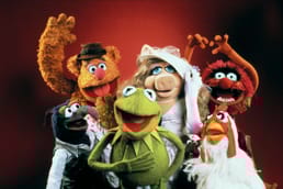 Jim Henson originalmente queria que os Muppets fossem para adultos e não via seus personagens como um veículo para a educação infantil e entretenimento familiar. De fato, ele inicialmente imaginou algo mais próximo de South Park do que de Sesame Street e, na década de 1950, eles fizeram comédia sombria em comerciais.