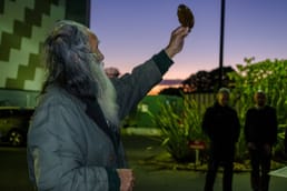 L'arbre le plus rare du monde, le Kaikōmako originaire de Nouvelle-Zélande, a été sauvé de l'extinction après 40 ans d'efforts pour faire fructifier à nouveau la toute dernière femelle de l'espèce.