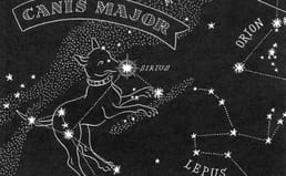 Wat zijn de hondendagen van de zomer?