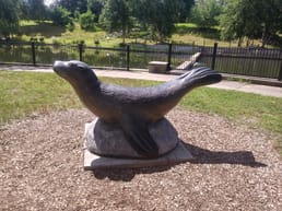 ما هي قصة روندا الأسد البحري؟