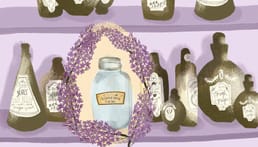 How was Metformin Discovered?