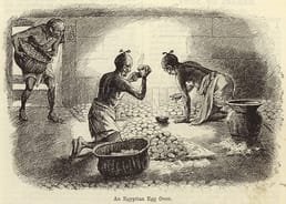 エジプト人は卵をどのように孵化させたのですか?