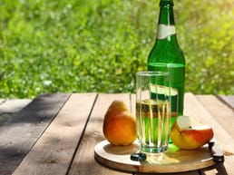 Che cos'è un Perry?