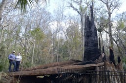 Que s'est-il passé avec « Le Sénateur » ?