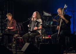 Quantos Anos a Banda Weird Al Yankovic Existe?