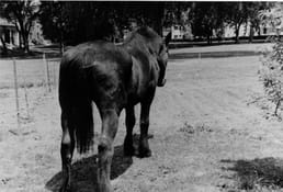 美国海军马德克斯的故事是什么？