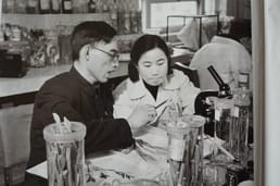 Wie vond de genezing voor malaria?