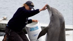 من يحمي ربع الترسانة النووية الأمريكية؟