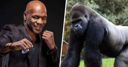 How Much Did Mike Tyson Offer A Zookeeper to Allow Him to Punch a Gorilla?