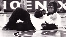 لم يكن لفريق فينكس صنز تميمة رسمية حتى جاء مشجع إلى مباراة منزلية مرتدياً زي غوريلا، وطُلب منه الرقص تحت الحلقة أثناء الوقفة