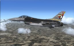 野生黄鼠狼是什么？