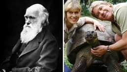 Charles Darwin tenía una tortuga mascota llamada Harriet. Murió en 2006 y se estimó que tenía 175 años al fallecer.