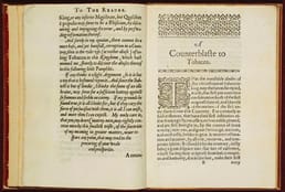 詹姆斯一世强烈反对在英属殖民地种植烟草，称其损害大脑、危害肺部——这比美国报告吸烟危害健康早了350年