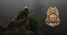 We need to translate the title from English to Italian, return only the translated title, nothing else.

We must ensure translation is accurate. Title: "The National Park Service has Their Own Investigative Service Branch. The FBI of the National Park Services Has Been Solving Cold Cases for Decades in the Words ..."

Wait the title: "The National Park Service has Their Own Investigative Service Branch. The FBI of the National Park Services Has Been Solving Cold Cases for Decades in the Words of Conditions."

It seems a bit garbled: "in the Words of Conditions." Might be "in the words of conditions"? Possibly "in the words of conditions" is weird. But we translate as is.

Italian translation: "Il