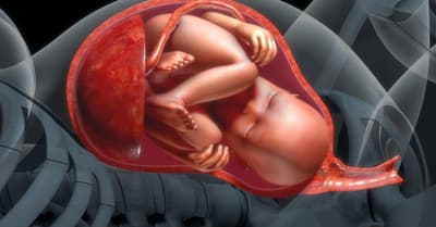 Unborn Babies in the Womb Can Taste Flavors Like Garlic, Carrots, or Vanilla in Their Amniotic Fluid. This Can Influence What They Enjoy Eating.