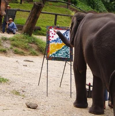 Les éléphants sont très empathiques et généreux même envers d’autres espèces. Une fois, une éléphante a trouvé un éleveur avec une jambe cassée et l’a traîné à l’ombre d’un arbre, le gardant et le touchant doucement avec sa trompe.