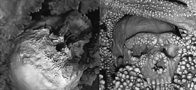 岩に融合した洞窟人を見てみよう。石灰岩から突き出ていた骨を取り出した後、研究者はそのネアンデルタール人が約15万年前にシンクホールに落ちたと考えている。骨は徐々に、洞窟の壁を滴り落ちる水が残した鍾乳石に取り込まれていった。