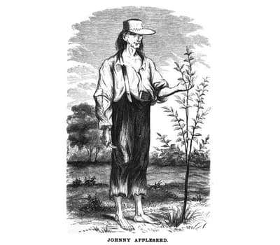 The real Johnny Appleseed did plant apples on the American frontier, but they were mostly used for hard apple cider. Safe drinking water was scarce, and apple cider was a safer alternative to drink.
