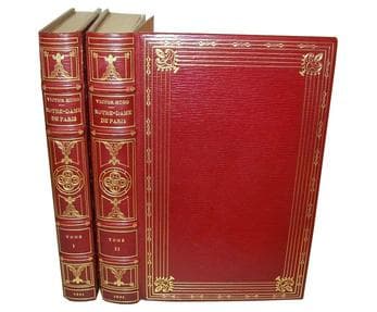 Victor Hugo escribió El jorobado de Norte‑Dame para informar a la gente del valor de la arquitectura gótica, que en ese momento estaba siendo descuidada y destruida. Esto explica las extensas secciones descriptivas del libro, que superan con creces los requisitos de la historia.