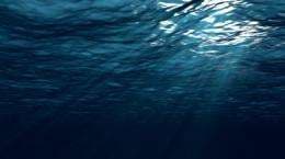 Il y a des micro-organismes qui vivent sur le plancher océanique qui se reproduisent une seule fois tous les 10 000 ans et qui sont vivants depuis des millions d'années. Ce sont probablement les choses vivantes les plus anciennes de la Terre.