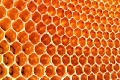 蜂巢并非一开始就是六边形，蜂巢内部的热量软化了蜂蜡并形成了这种形状。