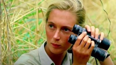 What Influenced Jane Goodall's Fondness for Primates?