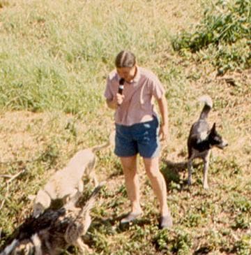 Conheça Susan Butcher, uma garota da Nova Inglaterra cujo único objetivo na vida era vencer a corrida de trenó com cães Iditarod Trail do Alasca, que ela acabou ganhando quatro vezes com tempos recordes e se tornou uma das maiores musheres de todos os tempos.