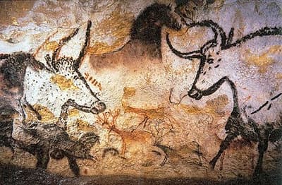 La entrada de la cueva de Lascaux, en el suroeste de Francia, famosa por sus pinturas rupestres paleolíticas, fue descubierta en 1940 por el joven de 18 años Marcel Ravidat y su perro, Robot. Robot cayó en un agujero, y Ravidat lo exploró con sus amigos, encontrando paredes cubiertas de representaciones de animales.