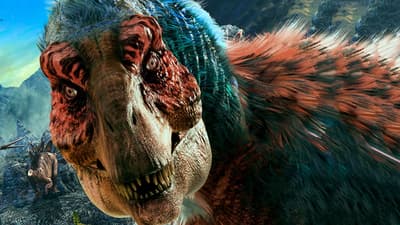 How Did Scientists Know Dinosaurs Were Covered in Feathers?
