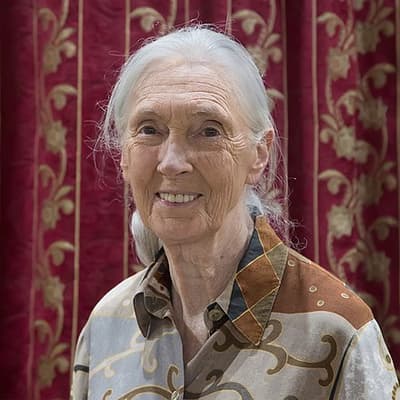 Nach einem Far‑Side‑Cartoon, in dem ein Schimpanse Jane Goodall als „Pennerin“ bezeichnet, schrieb Goodalls Anwalt ein Schreiben, das den Comic als „Gräueltat“ bezeichnete; Goodall selbst liebte den Cartoon und verfasste das Vorwort einer Far‑Side‑Sammlung.