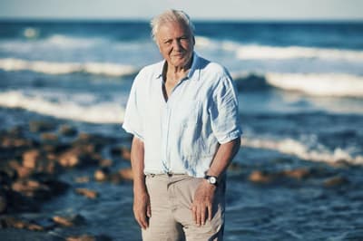 Als die Serie „Blue Planet II“ von David Attenborough 2017 ausgestrahlt wurde, luden so viele chinesische Fans das Programm über den Online‑Kanal Tencent Video des Landes herunter, dass das Internet in China vorübergehend langsamer wurde.