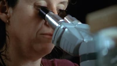 إذا قمت بطحن إسفنج بحري عبر منخل في مياه مالحة، فسيعيد تنظيم نفسه ليعود إسفنجاً من جديد. إنه الحيوان الوحيد الذي نعرفه القادر على فعل ذلك.