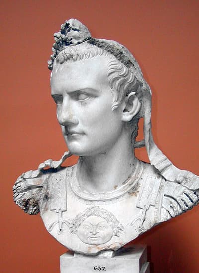 An ancient Roman oracle once prophesied that "Caligula had no more chance of becoming emperor than of riding a horse across the Bay of Baiae". After becoming emperor, Caligula ordered ships to construct the largest pontoon bridge in history, and rode his horse across the Bay of Baiae.