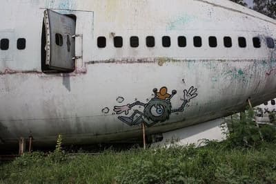 Em 2015, um avião fez um pouso de emergência depois que a tripulação recebeu uma indicação de fumaça na área de carga. Descobriu-se que isso foi causado pelas 2.186 ovelhas soltando gases a bordo.